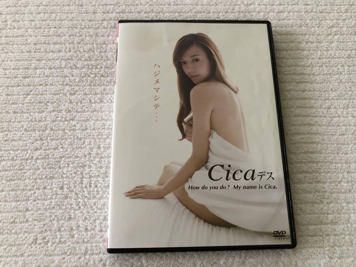 DVD   『ハジメマシテ...Cicaデス』    Cica   PCBE-11831拍卖