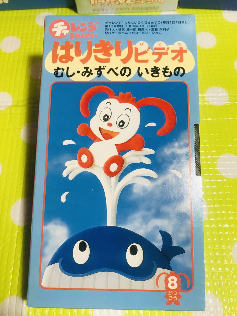 即決【同梱歓迎】VHS チャレンジ1年生はりきりビデオ1999年8月号むし・みずべのいきもの多数出品中p393拍卖