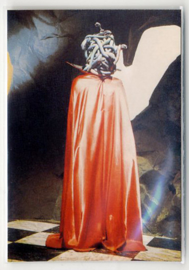 ◆防水対策 厚紙補強 カルビー 仮面ライダーチップスカード(2003 復刻版) 544番 これが首領の正体だ! トレカ 即決拍卖