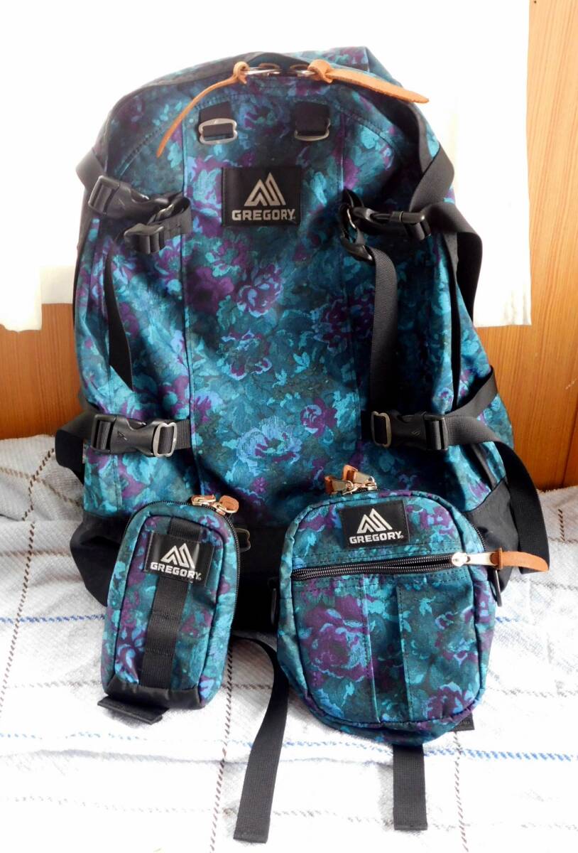 新品⇒美品 GREGORY ブルータペストリー DAY & HALF デイアンドハーフ+クイックポケットM+パテッドケースM ¥69800拍卖