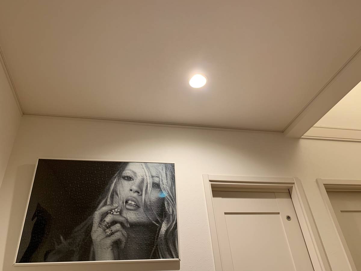 ■新品 天井埋込型LEDダウンライト 100-240V 新築増設 ショールーム 玄関 廊下 クロゼット 階段 トイレ 電源ユニット付き アウトレット拍卖