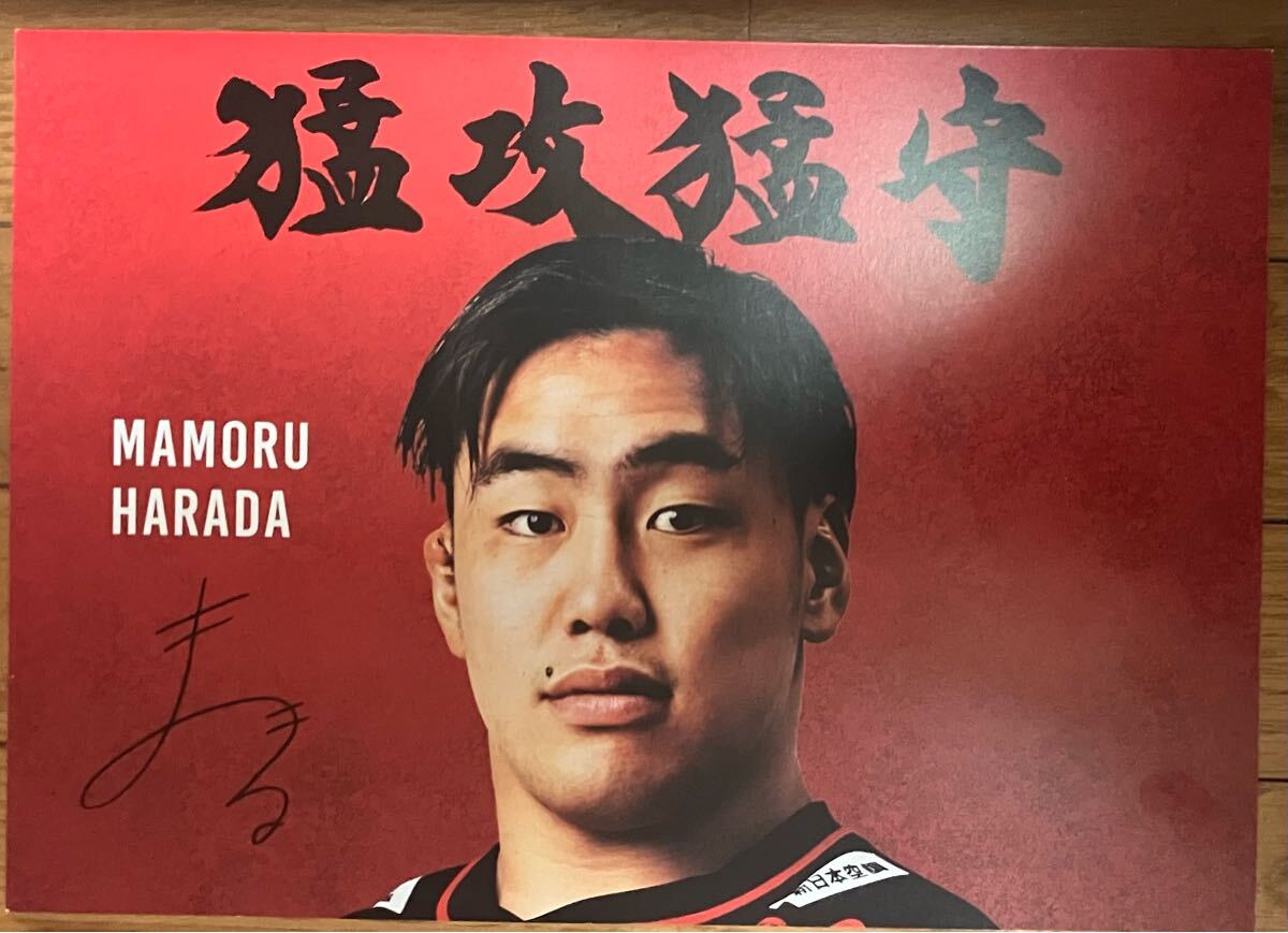 【リーグワン優勝】東芝ブレイブルーパス10戦士+ルーパス君 B4 サイン入り 応援シート拍卖