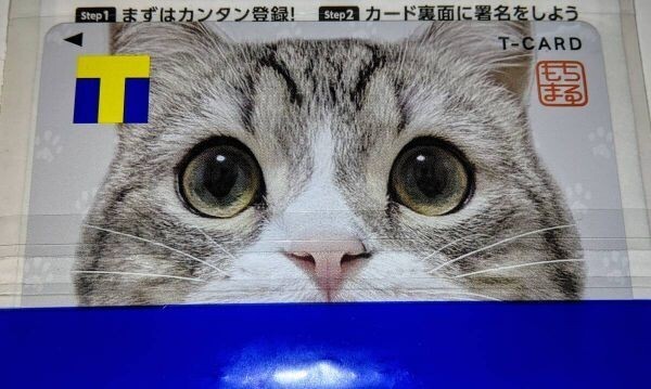 匿名配送 Vポイントカード もちまる日記 新品 未登録 Tカード拍卖