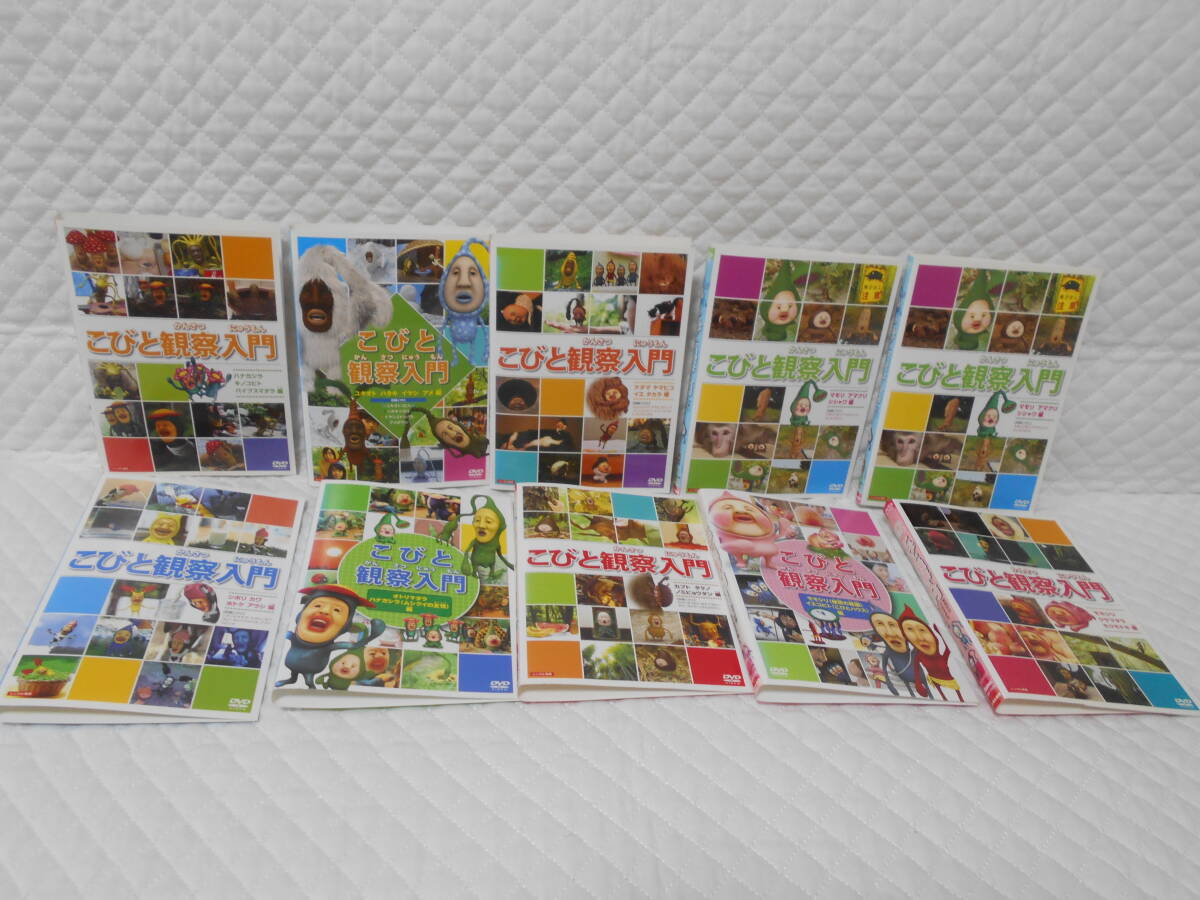 レンタルDVD こびと観察入門 計10枚セット <34>拍卖