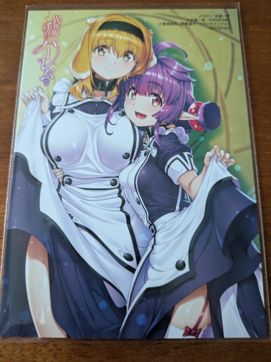 異世界迷宮でハーレムを 10巻 ゲーマーズ購入特典 イラストカード 氷樹一世 蘇我捨恥 四季童子拍卖