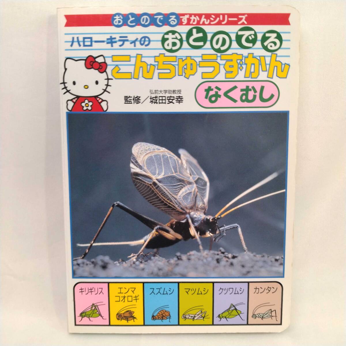 ★1998年 ハローキティのおとのでるこんちゅうずかん (おとのでるずかんシリ-ズ) なくむし 昆虫図鑑 Sanrio SMILES サンリオ レア/希少拍卖