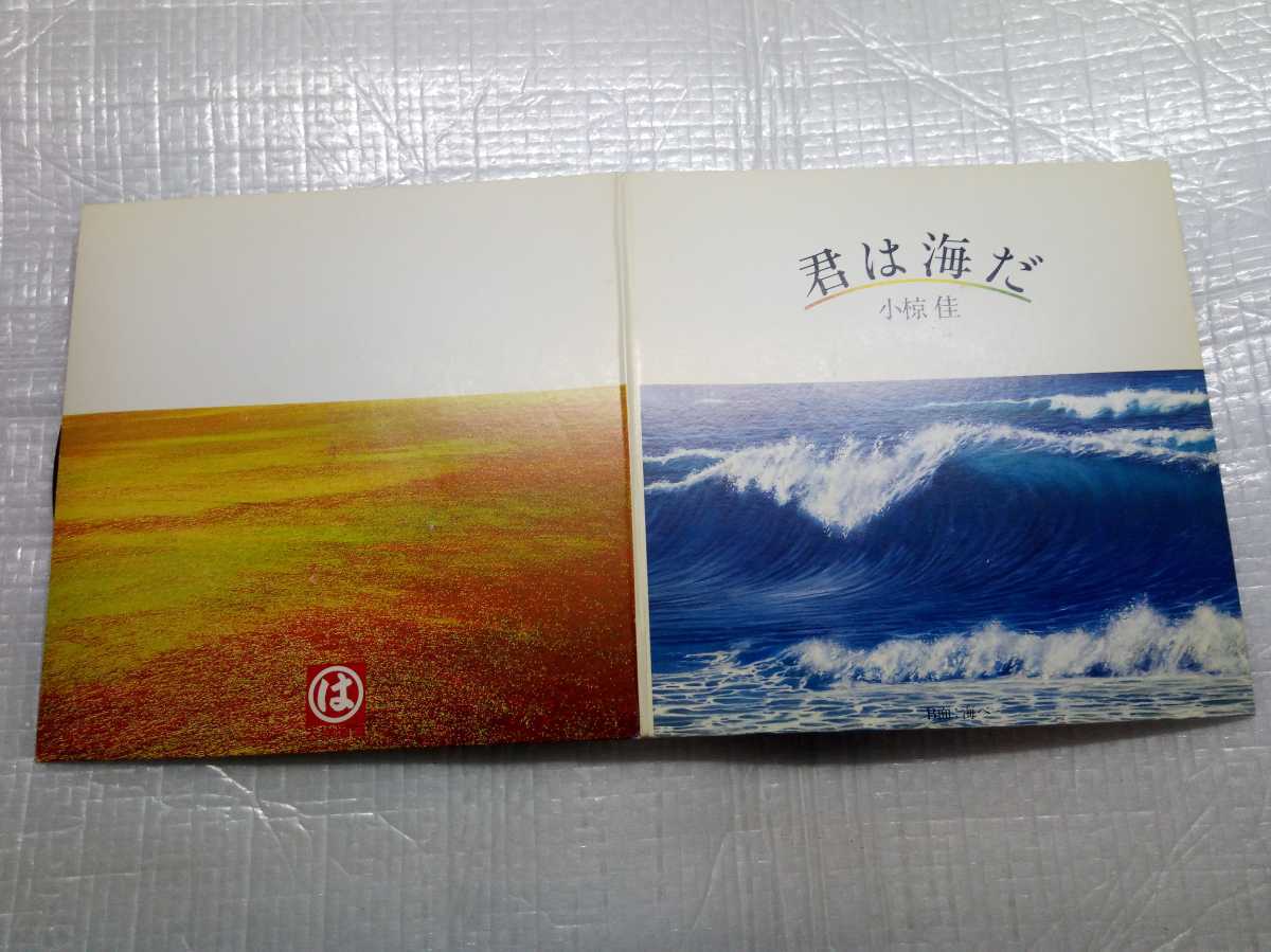 非売品レコード 君は海だ マルハ(太洋漁業)拍卖