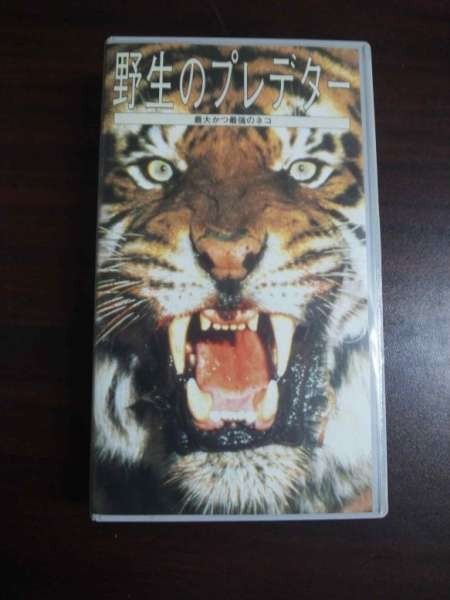 【VHS】 野生のプレデター 最大かつ最強のネコ 日本語吹替版拍卖