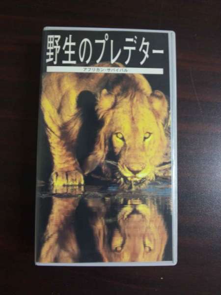 【VHS】 野生のプレデター アフリカンサバイバル 日本語吹替版拍卖
