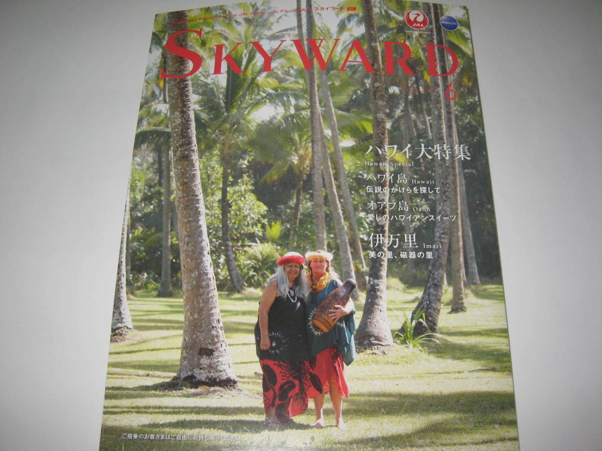 skyward スカイワード 2017.6 大野智拍卖