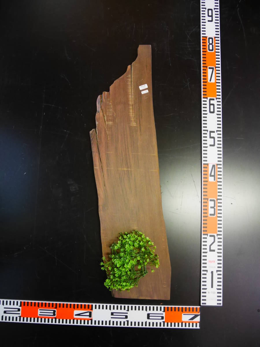 b0061620●約厚1.3cm 神代欅☆無垢板1枚板 木材 板 DIY 板材 天板 棚板 テーブル 看板 花台など種類豊富!拍卖