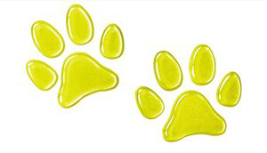 新品 ホンダアクセス 純正 エンブレム 08Z41-E6K-000H 未装着拍卖