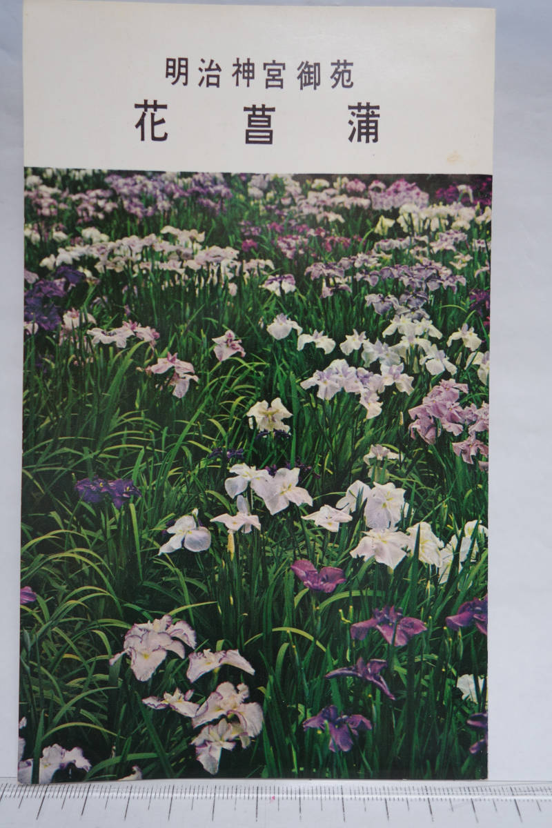 昭和レトロ 絵葉書 観光名所 明治神宮御苑 花菖蒲拍卖