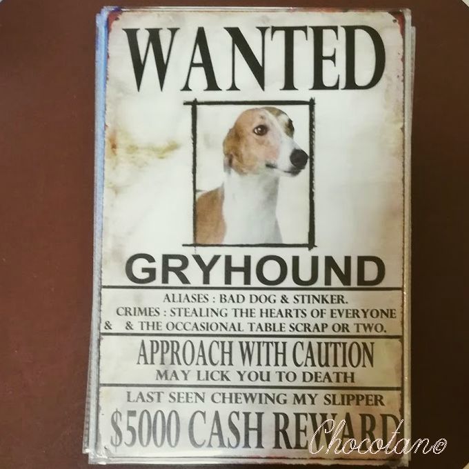 【送料無料】グレーハウンド WANTED サインプレート メタル看板【新品】拍卖