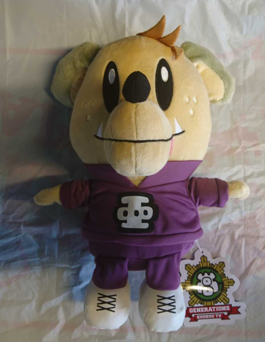 定形外350円 新品・タグ付き【白濱亜嵐】単品 GENERATIONS高校TV BIGぬいぐるみ① 約25㎝拍卖