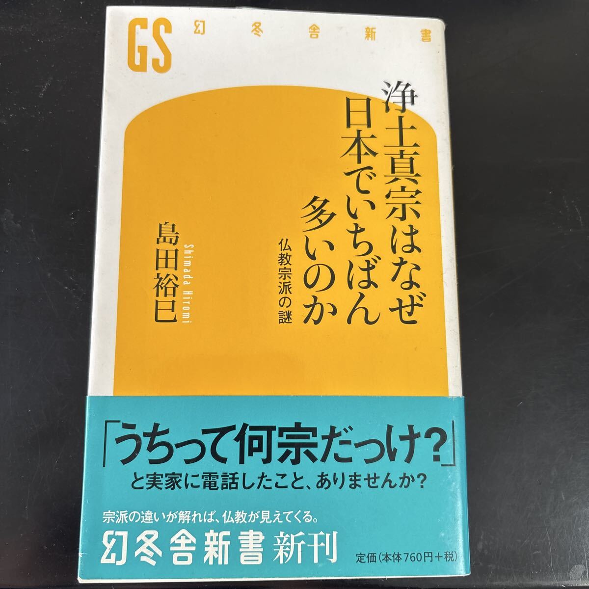 浄土真宗はなぜ日本でいちばん多いのか 仏教宗派の謎 (幻冬舎新書 し-5-5) 島田裕巳/著拍卖