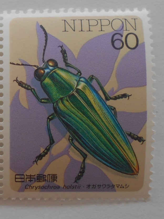 昆虫シリーズ3集 オガサワラタマムシ 未使用60円切手(635b)拍卖