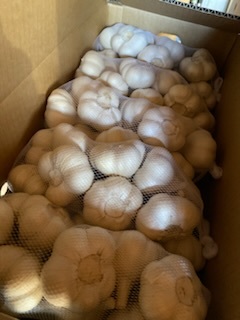 青森県にんにく5Kg 2L.L 黒にんにくオススメ 拍卖