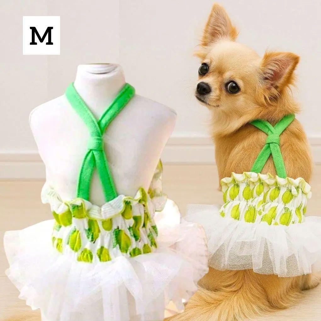 新品 犬服【M】ライム チュチュ ワンピース サマー ドレス 春 夏 バレエコア 犬の洋服 小型犬 Coco プードル チワワ ドッグウェア拍卖