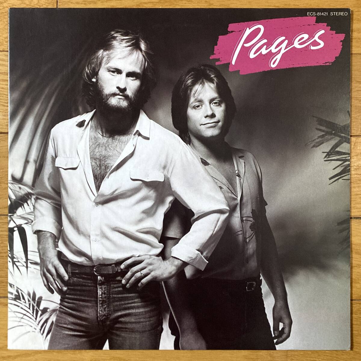 ■ペイジズ■Pages■ECS-81421■AOR■Mr. Mister■4317拍卖