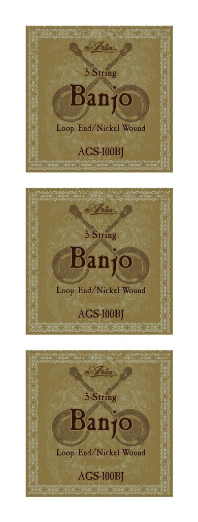 即決◆新品◆送料無料ARIA AGS-100BJ×3(10-23/5弦バンジョー弦 /メール便拍卖