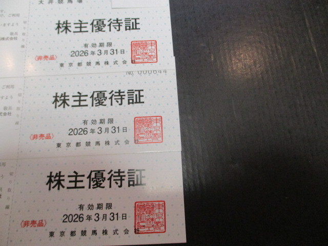 東京都競馬 株主優待 大井競馬場入場パス 3枚 (有効期限 2026年3月31日まで)拍卖