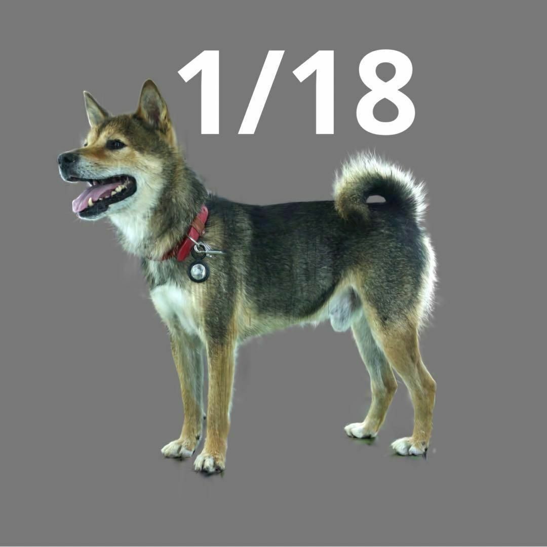 1/18 PON-01 犬 フィギュア 完成品 ミニチュア 1/64より大 ドールハウスに ミニチュア ミニチュアイメージ ミニカーに拍卖