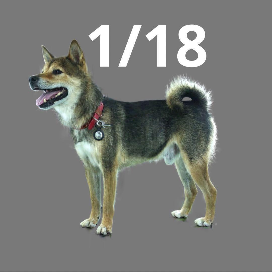 1/18 PON-01 犬 フィギュア 完成品 ミニチュア 1/64より大 ドールハウスに ミニチュアイメージ拍卖