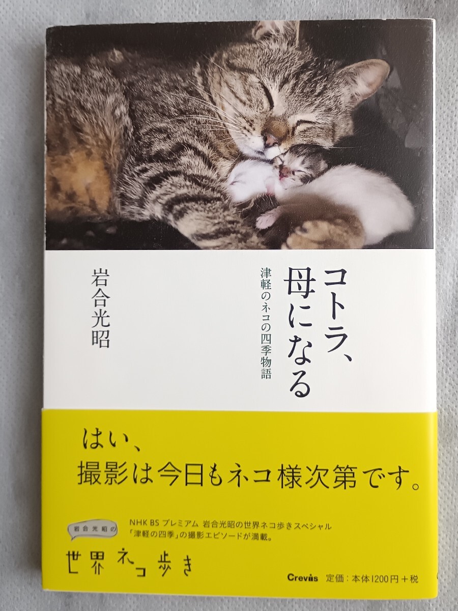 岩合光昭◆コトラ、母になる◆クレヴィス拍卖