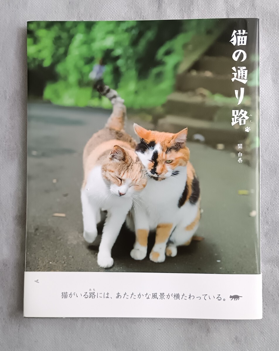 関由香◆猫の通り路◆HKインターナショナルビジョン拍卖