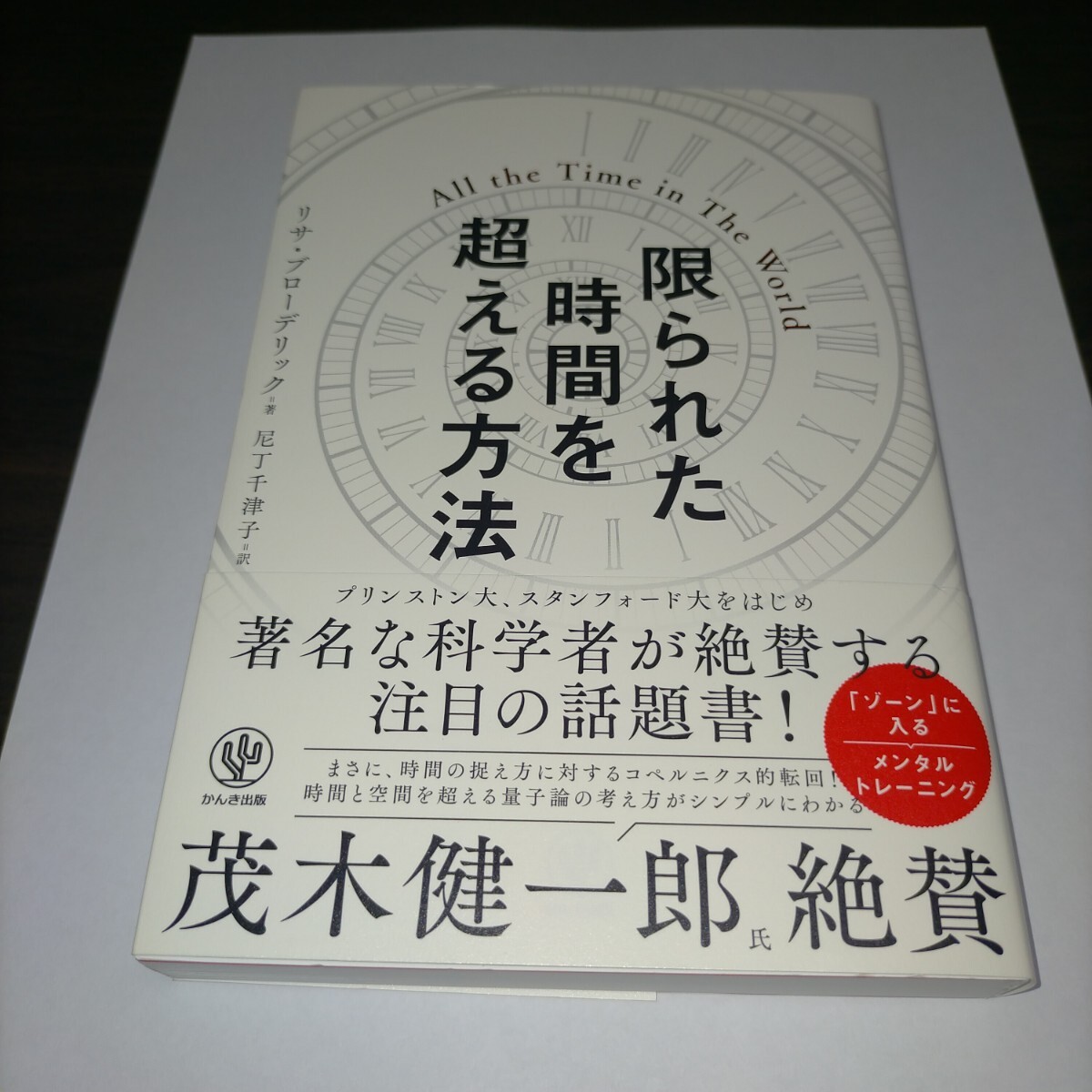限られた時間を超える方法 リサ・ブローデリック/著 尼丁千津子/訳 保管g拍卖