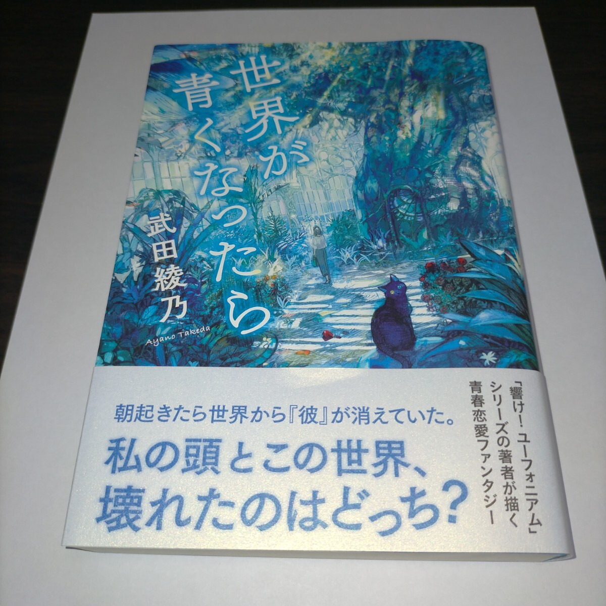 世界が青くなったら/武田綾乃 保管b拍卖