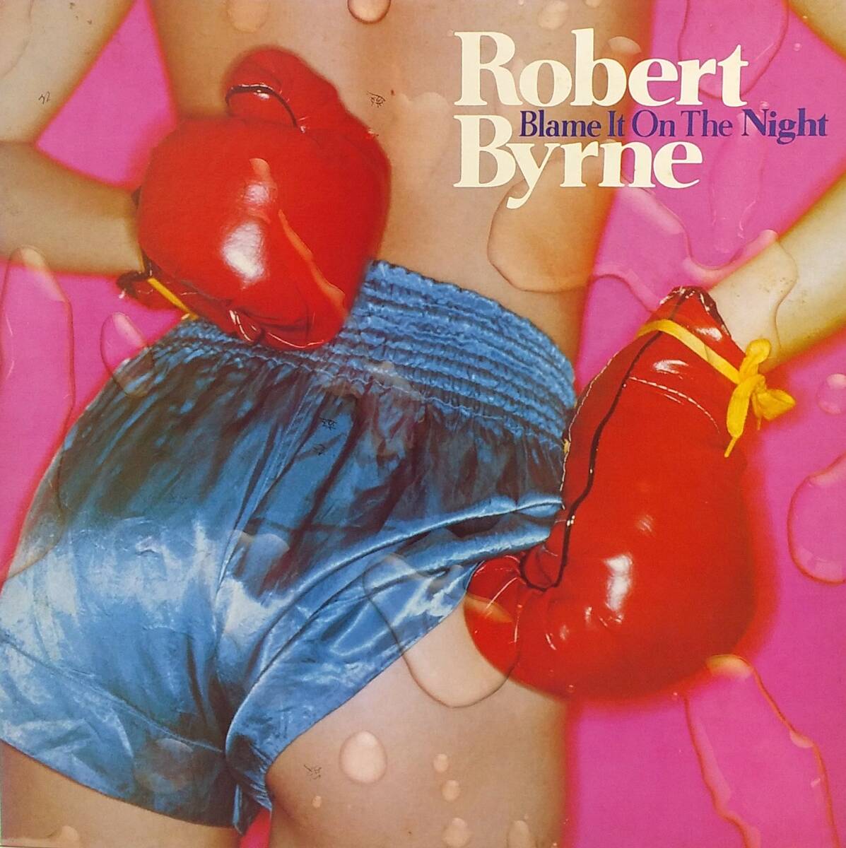 匿名・送料無料! ロバート・バーン Robert Byrne LPレコード 「ワン・ナイト・ロマンス/Blame It on the Night」 AOR拍卖