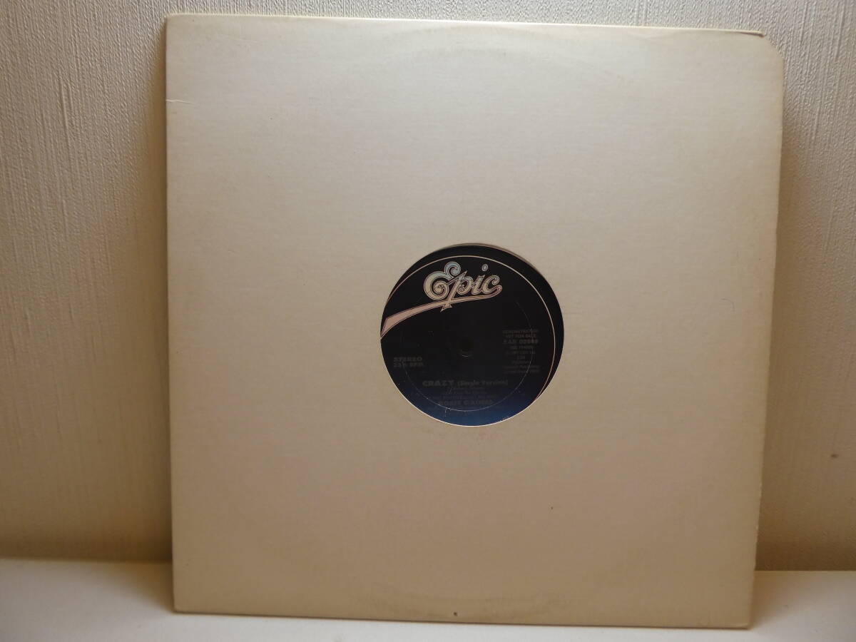 即決!Promo Onlyプロモ・オンリー!US盤12インチシングル!Princeプリンス関連!Rosie Gaines ロージー・ゲインズ / Crazy拍卖