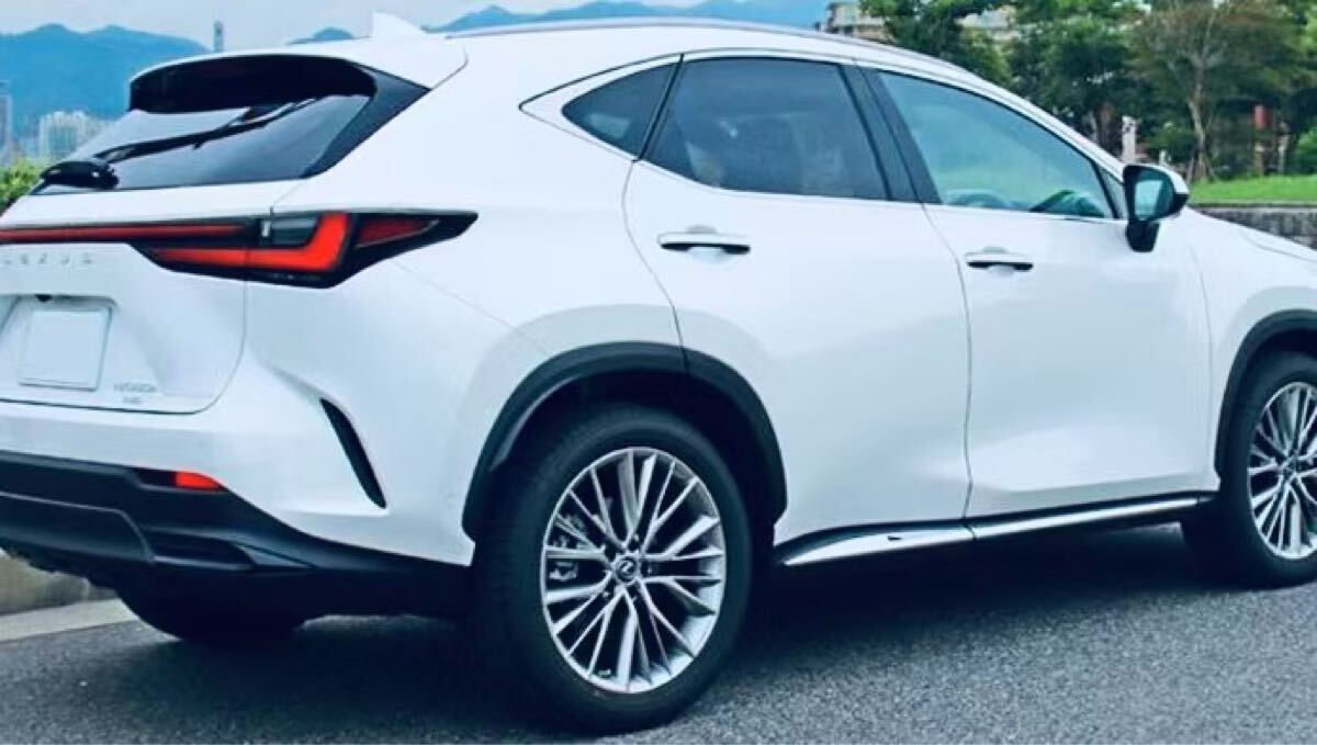 レクサス LEXUS NX20系 サイドガーニッシュ【E71d】拍卖