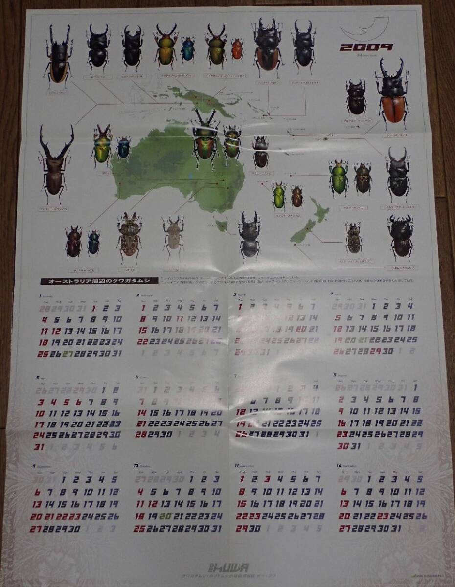 ■レア■むし社 ビークワ 付録 ■オーストラリア周辺のクワガタムシ カレンダー2009 切り取ってポースターにも! カブトムシ/クワガタ拍卖