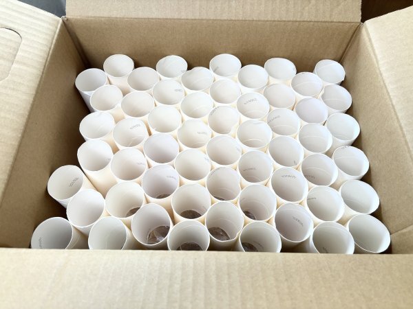 【134本セット】トイレットペーパーの芯 工作用拍卖