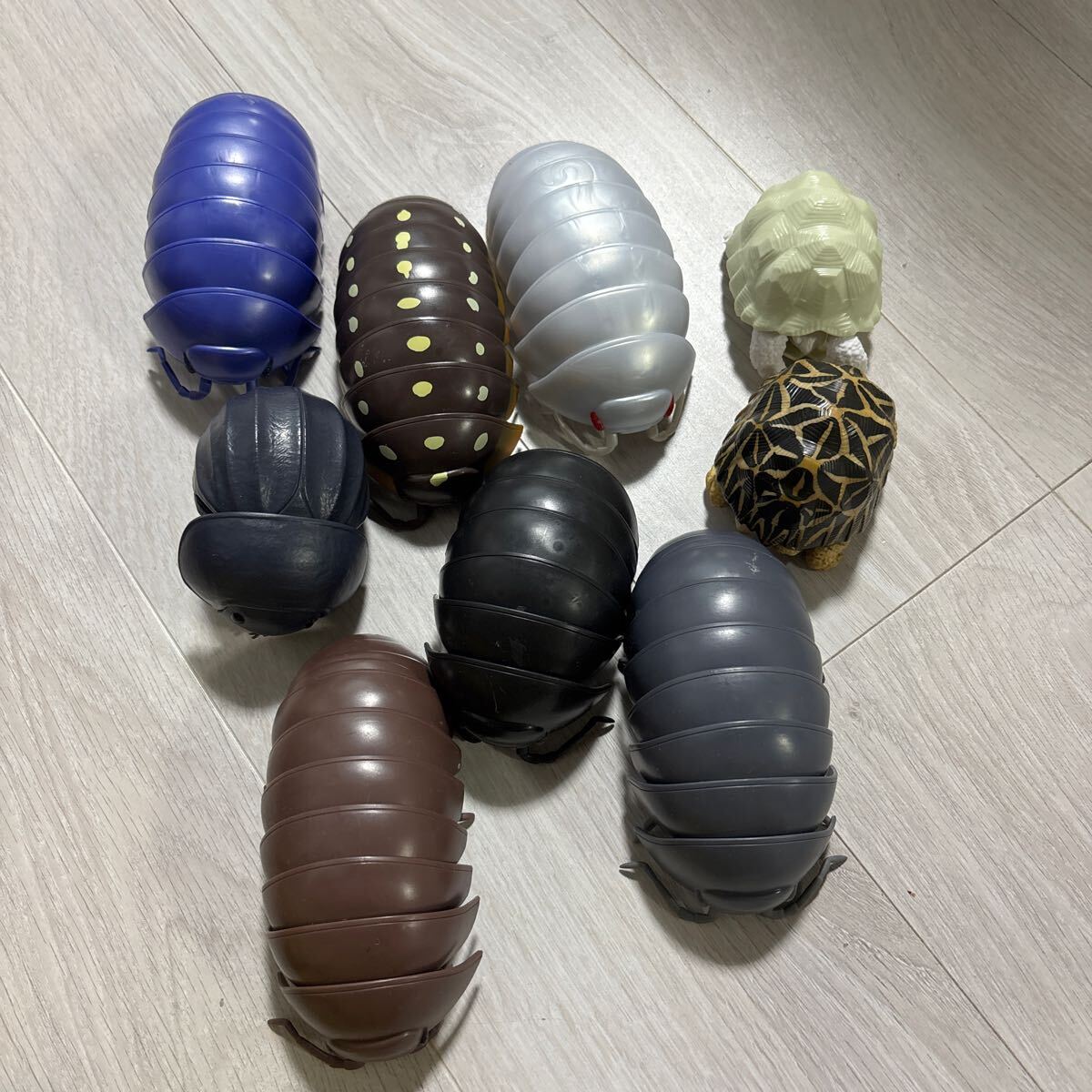 ガチャガチャ 虫 昆虫 だんごむし バンダイ BANDAI拍卖