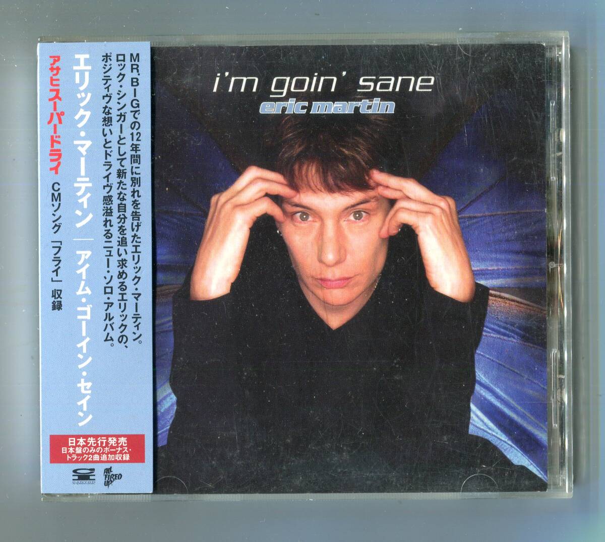 ERIC MARTIN エリック・マーティン - I'm Goin' Sane アイム・ゴーイン・セイン 日本盤 帯付 Mr.Big ミスタービッグ TMG 拍卖
