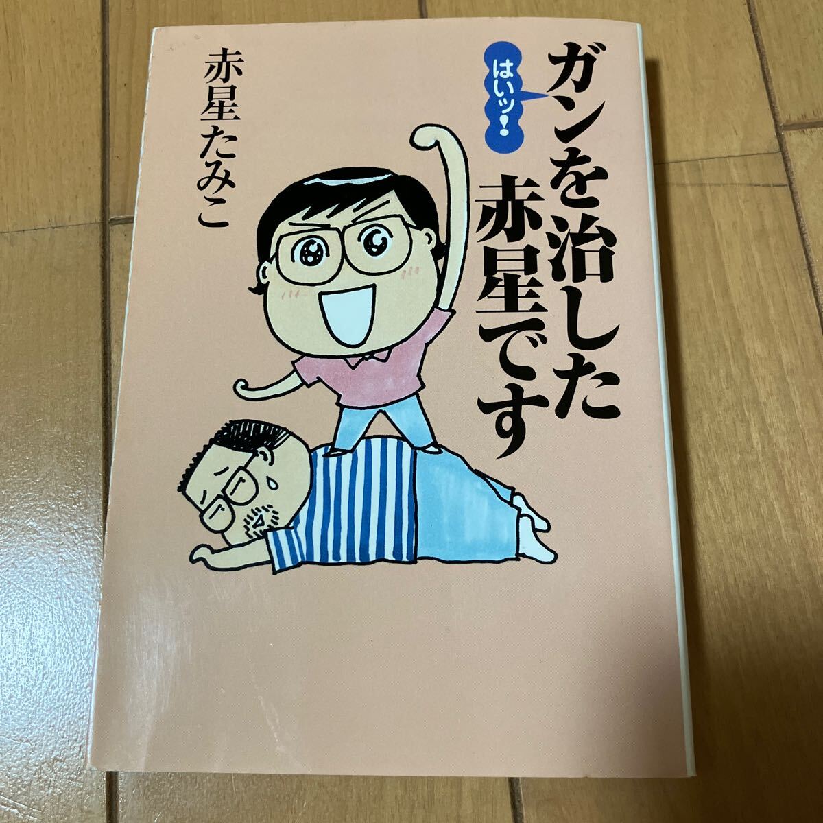 はいッ!ガンを治した赤星です。 赤星たみこ拍卖