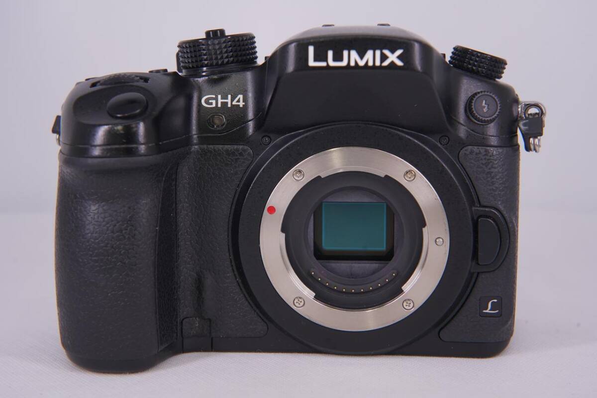 Panasonic パナソニック LUMIX GH4 ブラック ボディ【海外仕様:英語・スペイン語】拍卖