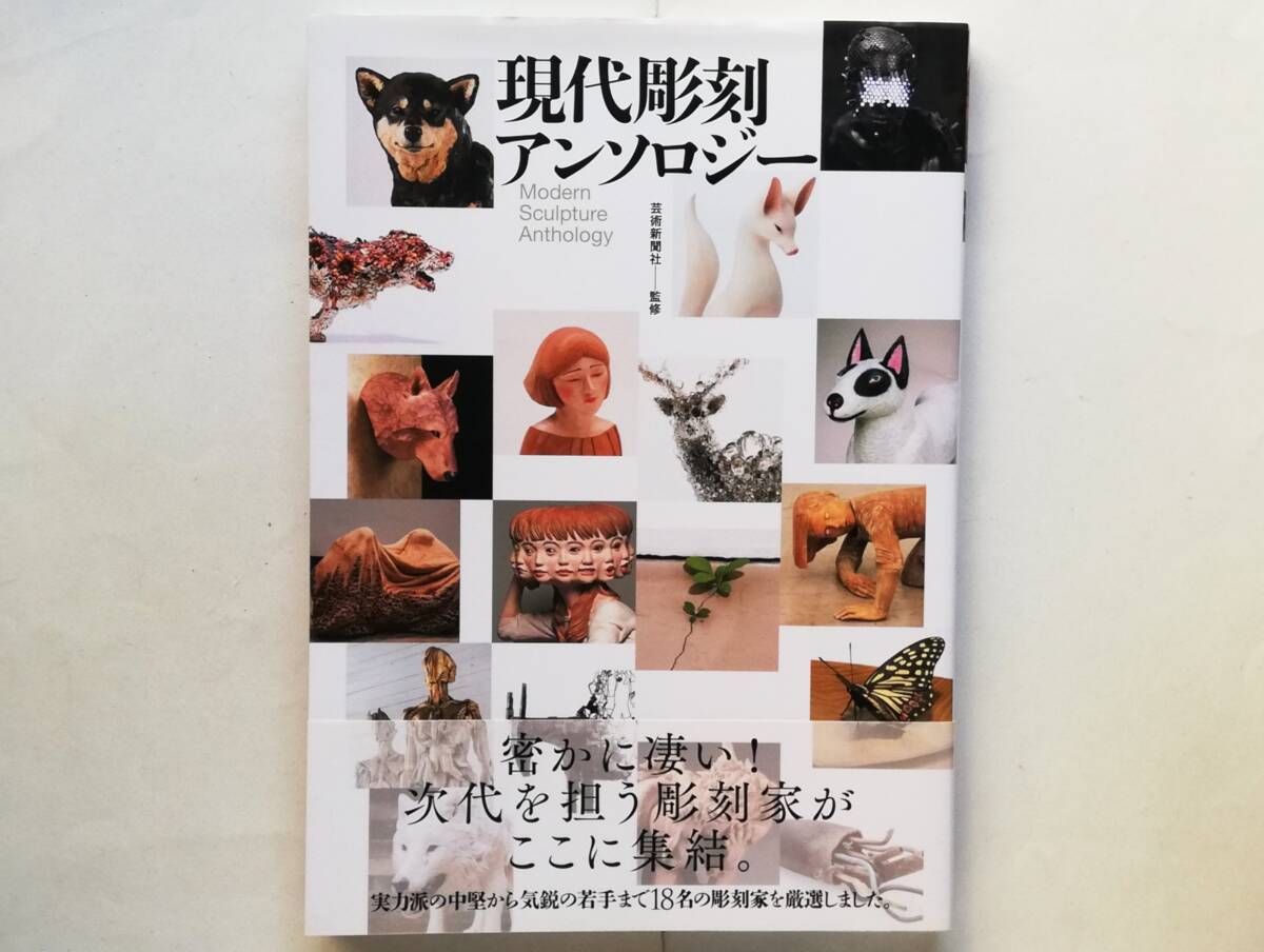現代彫刻アンソロジー 土屋仁応 棚田康司 名和晃平 Kohei Nawa 須田悦弘 Yoshihiro Suda 金巻芳俊 Yoshitoshi Kanemaki 吉田泰一郎拍卖
