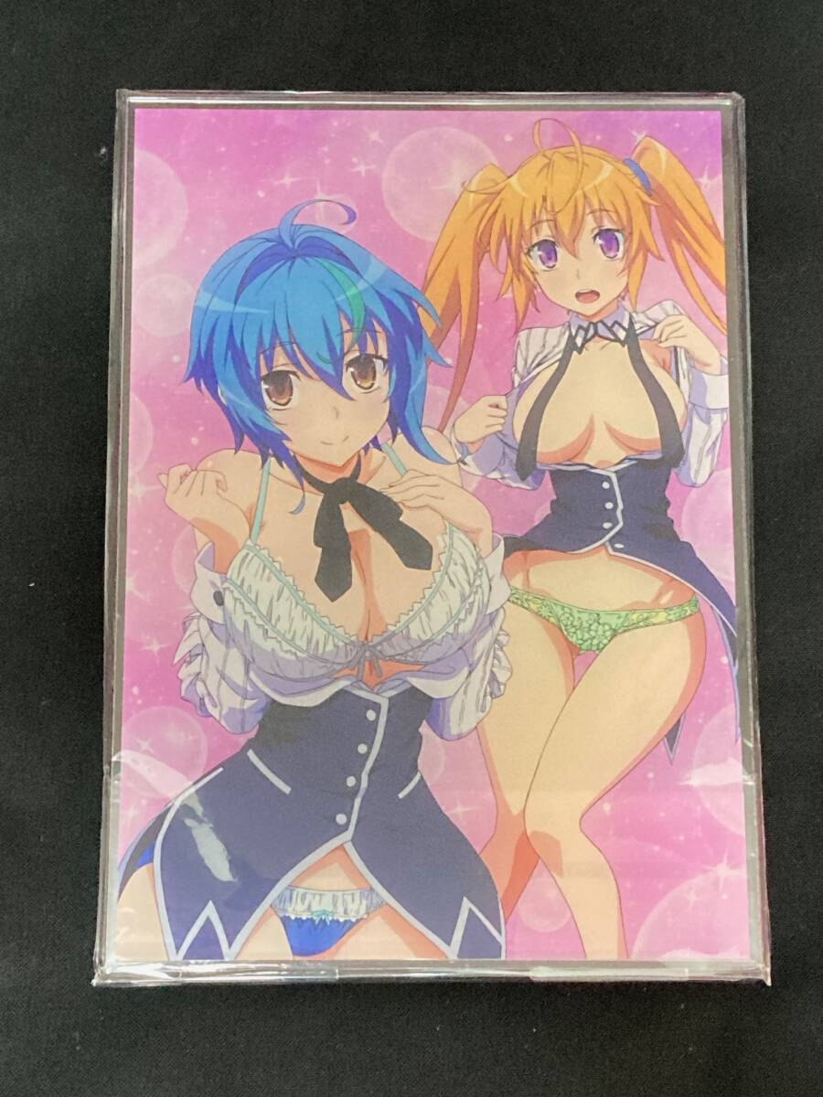 ハイスクールD×D HERO カドカワストア Blu-ray BOX 購入特典 アクリルプレート 送料無料拍卖