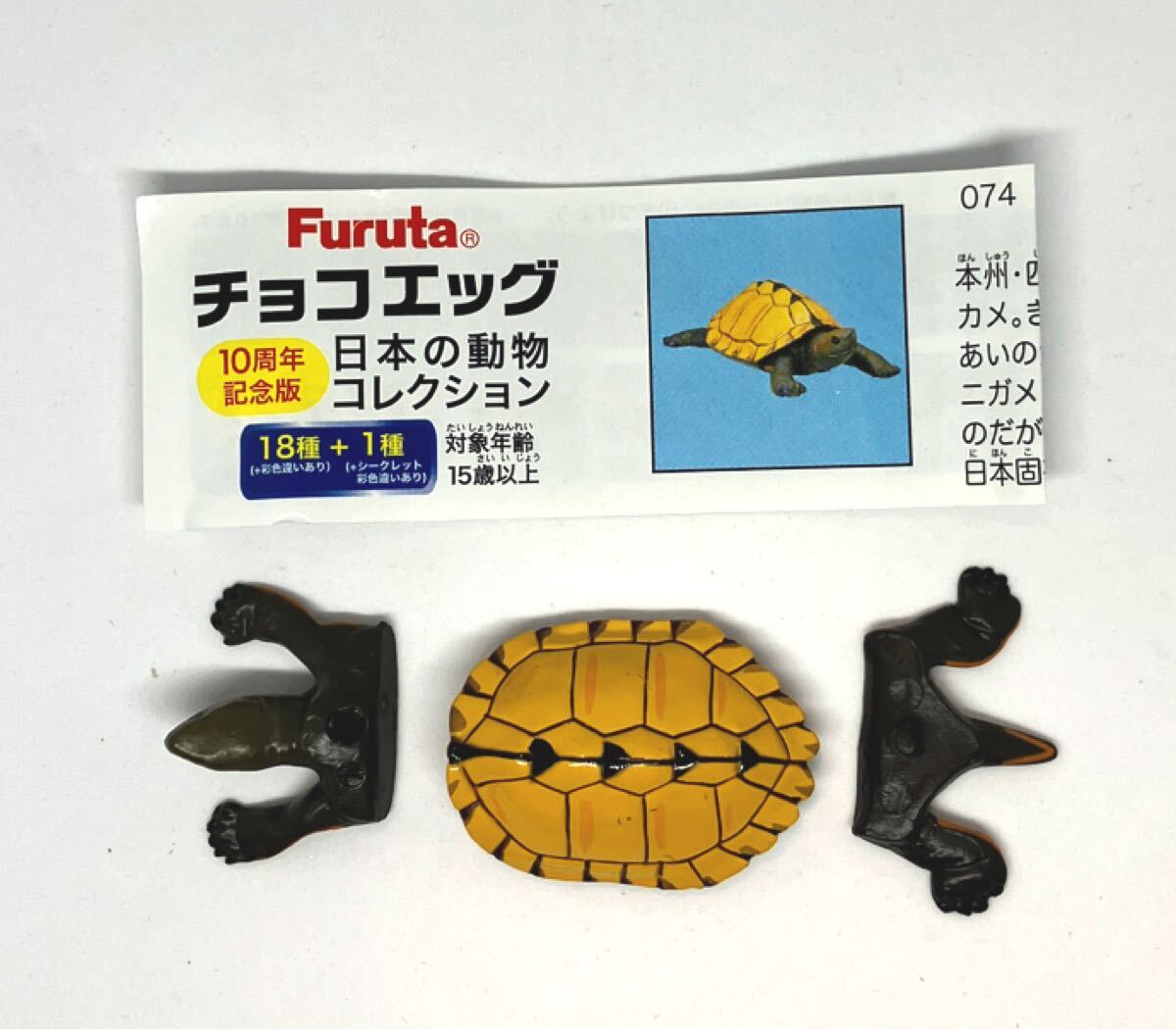 チョコエッグ 日本の動物 10周年記念版 ニホンイシガメ 解説書付 海洋堂 松村しのぶ チョコQ拍卖