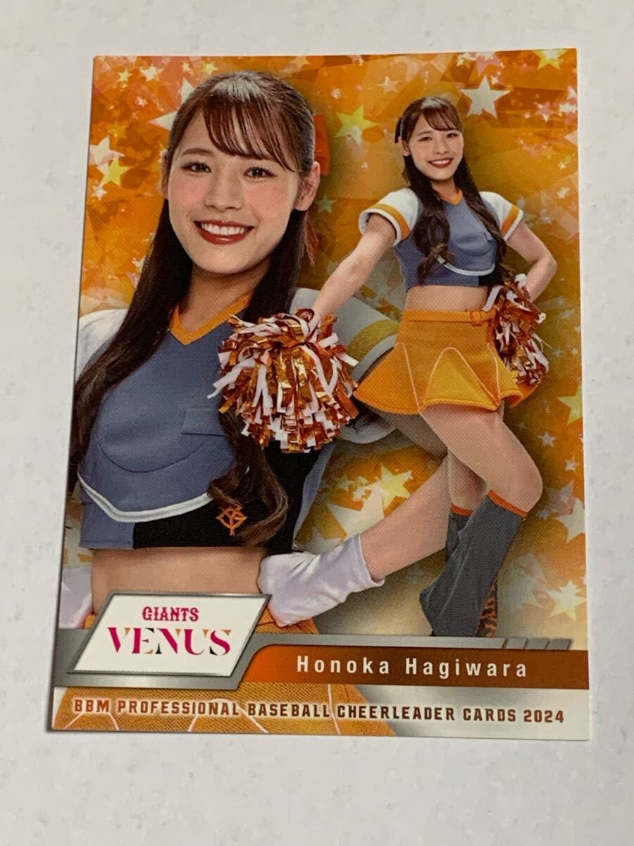 萩原ほのか 2024 BBM チアリーダー レギュラーカード 巨人 読売ジャイアンツ VENUS 即決拍卖