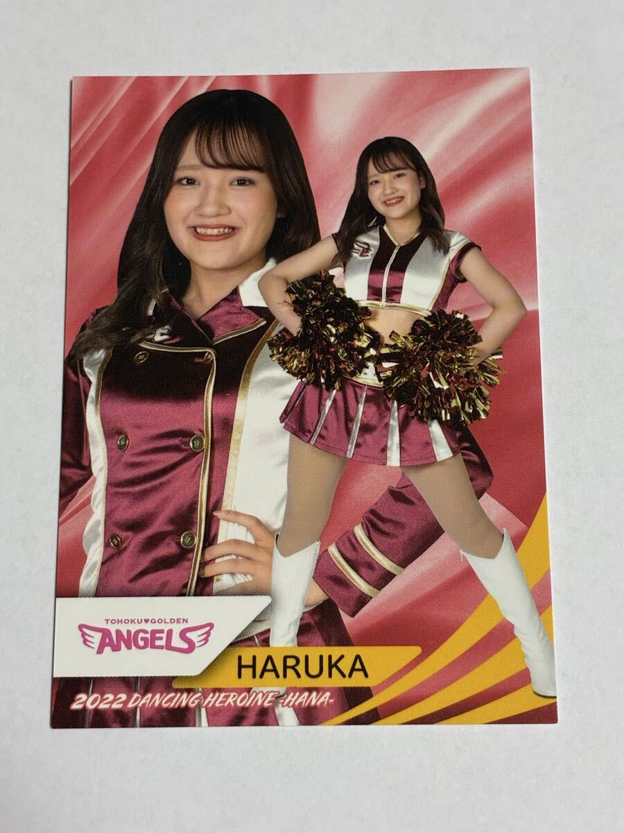 HARUKA 2022 BBM チアリーダー 華 #53 楽天 東北ゴールデンエンジェルス 即決拍卖
