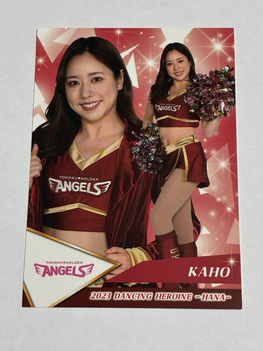 KAHO 2023 BBM チアリーダー 華 レギュラーカード 楽天 東北ゴールデンエンジェルス 即決拍卖