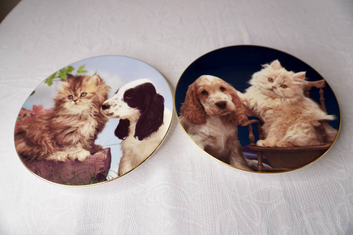 イギリス ヴィンテージ 犬 猫 絵皿 2枚セット コレクションプレート拍卖