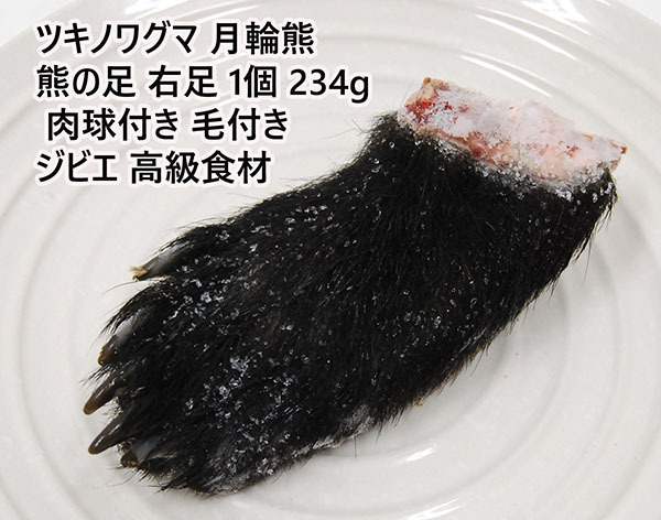 希少!ツキノワグマ 月輪熊 熊の足 右足 1個 234g 肉球付き 毛付き ジビエ 高級食材拍卖