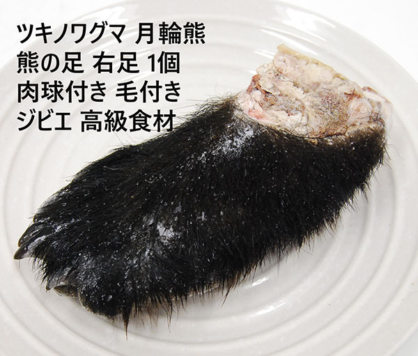希少!ツキノワグマ 月輪熊 熊の足 右足 1個 469g 肉球付き 毛付き ジビエ 高級食材拍卖